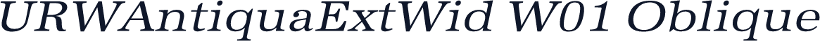 URWAntiquaExtWid W01 Oblique