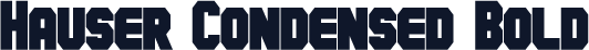 Hauser Condensed Bold