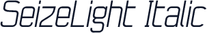 SeizeLight Italic