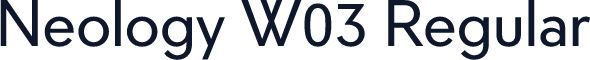 Neology W03 Regular