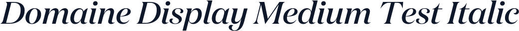 Domaine Display Medium Test Italic