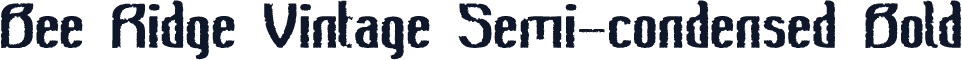 Bee Ridge Vintage Semi-condensed Bold