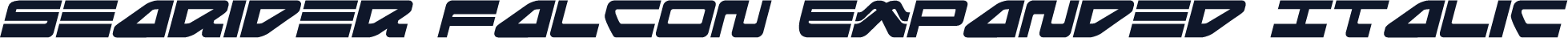 Searider Falcon Expanded Italic