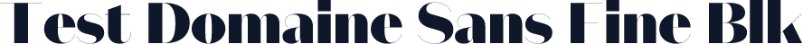 Test Domaine Sans Fine Blk