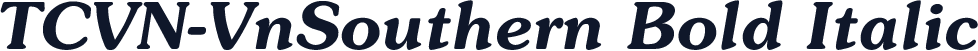 TCVN-VnSouthern Bold Italic