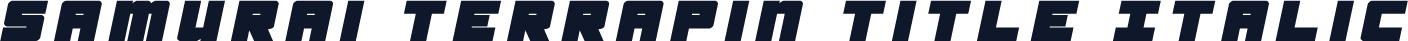 Samurai Terrapin Title Italic