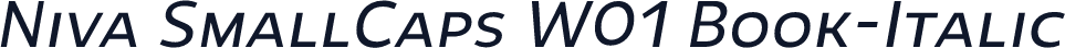 Niva SmallCaps W01 Book-Italic