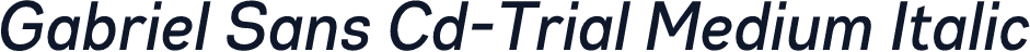 Gabriel Sans Cd-Trial Medium Italic