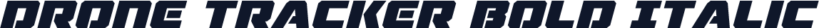 Drone Tracker Bold Italic