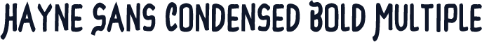 Hayne Sans Condensed Bold Multiple