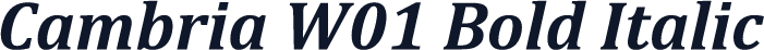 Cambria W01 Bold Italic