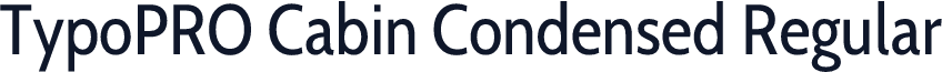 TypoPRO Cabin Condensed Regular