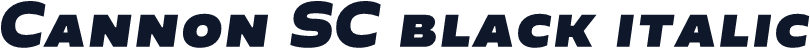 Cannon SC black italic