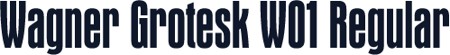 Wagner Grotesk W01 Regular