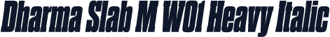 Dharma Slab M W01 Heavy Italic
