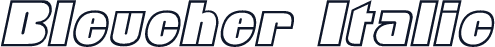 Bleucher Italic