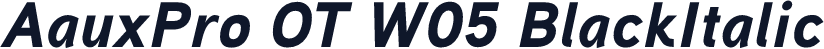 AauxPro OT W05 BlackItalic