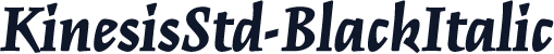 KinesisStd-BlackItalic