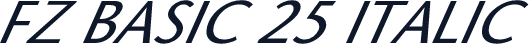 FZ BASIC 25 ITALIC