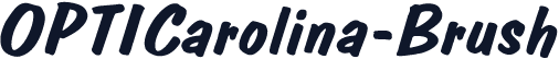 OPTICarolina-Brush