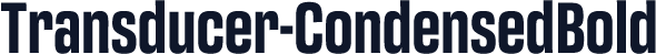 Transducer-CondensedBold
