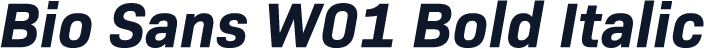 Bio Sans W01 Bold Italic