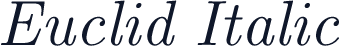 Euclid Italic