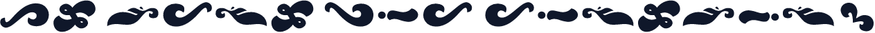 ☞La Mona Pro Ornament