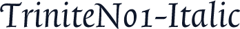 TriniteNo1-Italic