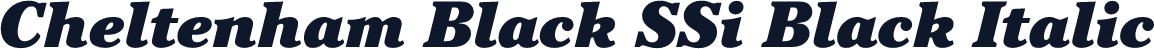 Cheltenham Black SSi Black Italic