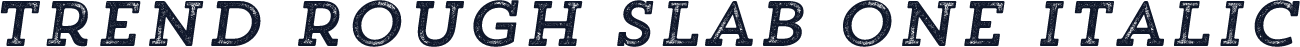 Trend Rough Slab One Italic
