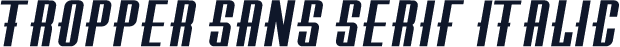 Tropper Sans Serif Italic