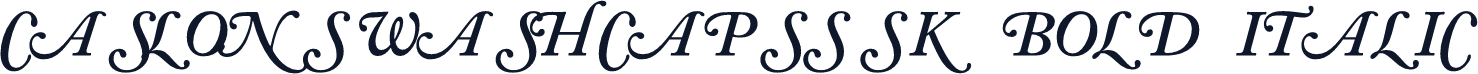 CaslonSwashCapsSSK Bold Italic