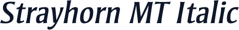 Strayhorn MT Italic