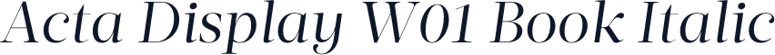 Acta Display W01 Book Italic