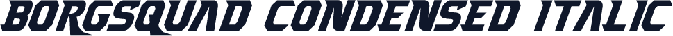 Borgsquad Condensed Italic