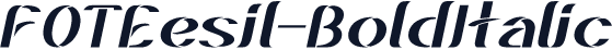 FOTEesil-BoldItalic