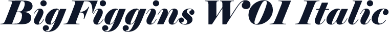 BigFiggins W01 Italic