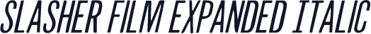 Slasher Film Expanded Italic