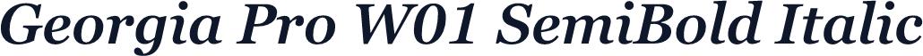 Georgia Pro W01 SemiBold Italic