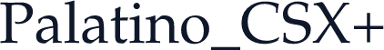 Palatino_CSX+