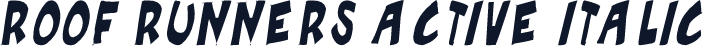 Roof runners active Italic