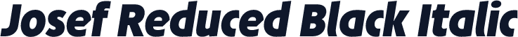 Josef Reduced Black Italic