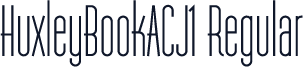 HuxleyBookACJ1 Regular