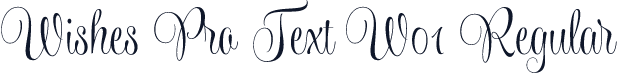 Wishes Pro Text W01 Regular