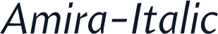 Amira-Italic