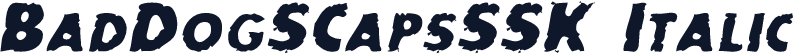 BadDogSCapsSSK Italic