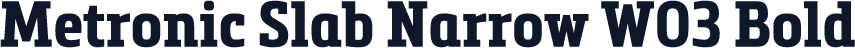 Metronic Slab Narrow W03 Bold