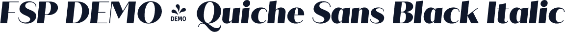 FSP DEMO - Quiche Sans Black Italic