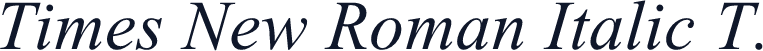 Times New Roman Italic T.